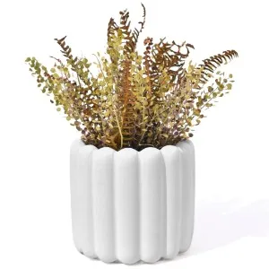 vaso de planta pequeno em cimento