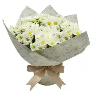 Mini Vaso de Margaridinhas Plantadas