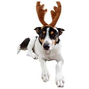 Presentes para pets - presentes de natal baratos e criativos