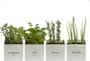 Kit para horta em casa com 4 vasos autoirrigáveis - presentes para veganos